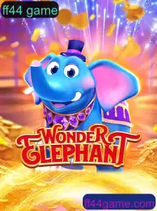 Descubra o Maravilhoso Mundo de WonderElephant